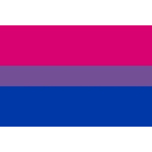 PRIDE - BANDERA 90 X 150 BIXESUAL