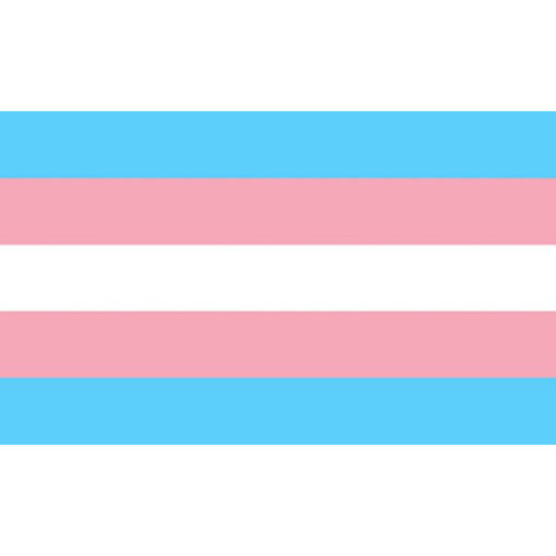 PRIDE - BANDERA 90 X 150 TRANSEXUAL