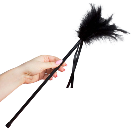 SECRETPLAY - PLUMERO PLUMAS NEGRO 40 CM
